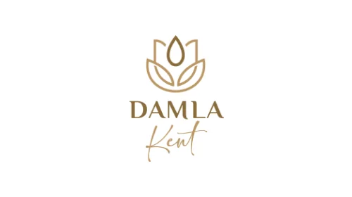 Damlakent Projesi Gayrimenkul Sertifikaları