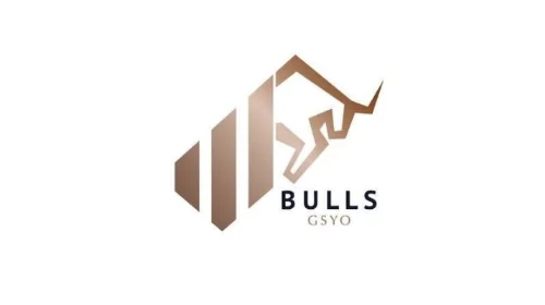 Bulls Girişim Sermayesi Yatırım Ortaklığı A.Ş.